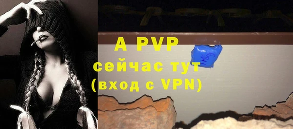 стаф Арсеньев