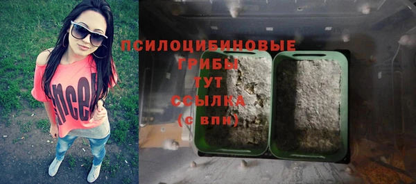 не бодяженный Аркадак