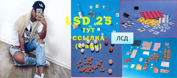 стаф Арсеньев