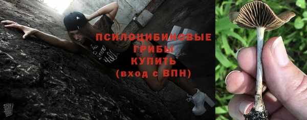 стаф Арсеньев