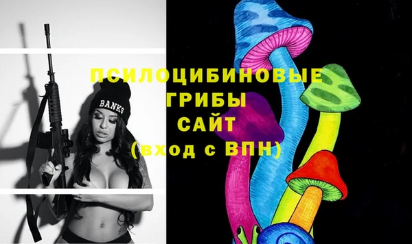 крисы Армянск