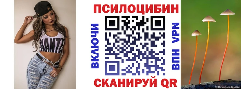 закладка  сайты даркнета Telegram  Галлюциногенные грибы мицелий  Ржев 