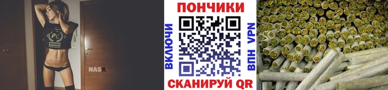 где купить наркоту  Ржев  Бошки марихуана конопля 